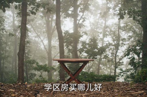 学区房买哪儿好