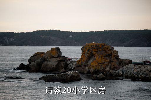 请教20小学区房