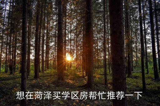 想在菏泽买学区房帮忙推荐一下