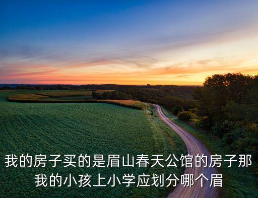 我的房子买的是眉山春天公馆的房子那我的小孩上小学应划分哪个眉