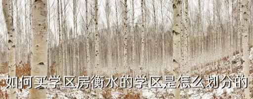 如何买学区房衡水的学区是怎么划分的
