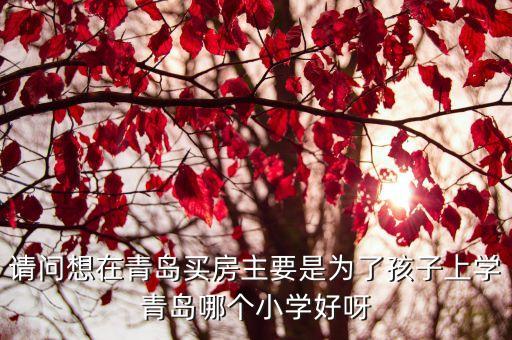 请问想在青岛买房主要是为了孩子上学青岛哪个小学好呀