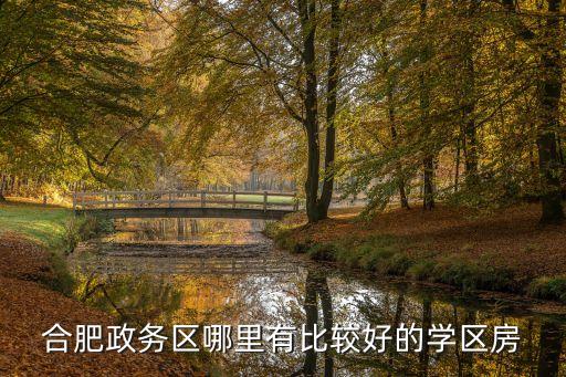 合肥有哪些好的学区房，合肥政务区哪里有比较好的学区房