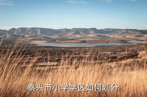 泰兴市小学学区如何划分