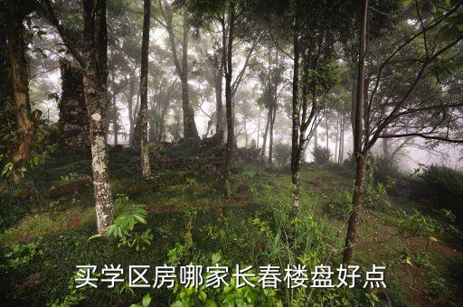 买学区房哪家长春楼盘好点