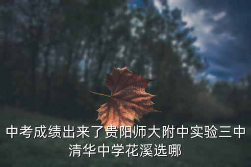 中考成绩出来了贵阳师大附中实验三中清华中学花溪选哪