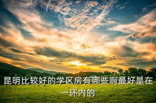 昆明中央公园学区房有哪些，想在昆明买套房最好是市里幼儿园中小学都有的小区有哪些小