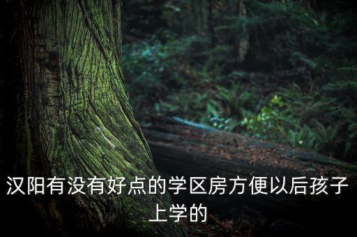 汉阳有没有好点的学区房方便以后孩子上学的