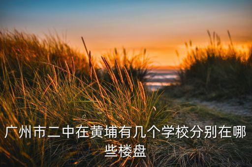 广州市二中在黄埔有几个学校分别在哪些楼盘