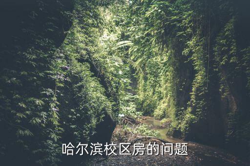 哈尔滨中学哪个学区房好，哈尔滨现在124中 虹桥中学哪个好选学区房希望大家帮忙跪谢
