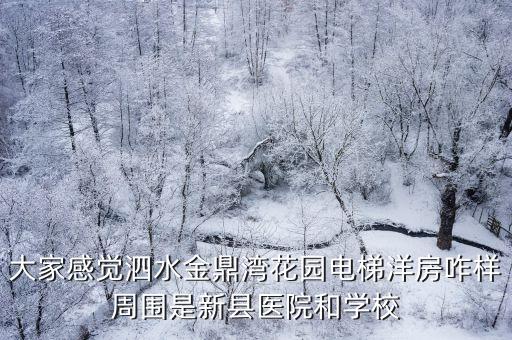 大家感觉泗水金鼎湾花园电梯洋房咋样周围是新县医院和学校