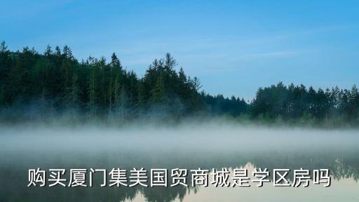 购买厦门集美国贸商城是学区房吗