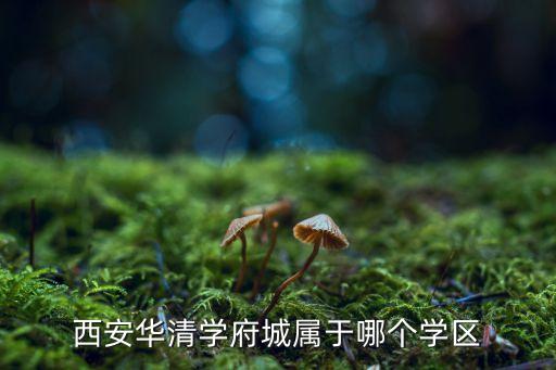 西安华清学府城属于哪个学区