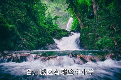 太和中学学区房有哪些，合川城区有哪些中小学