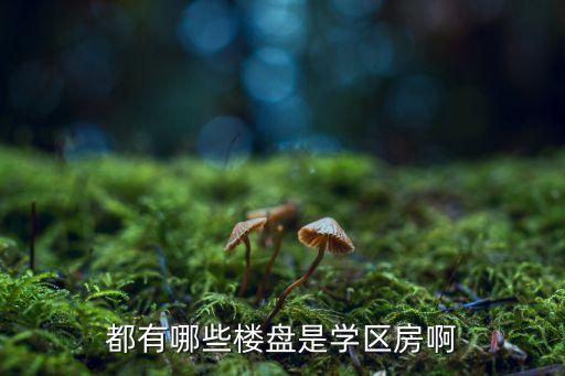 都有哪些楼盘是学区房啊