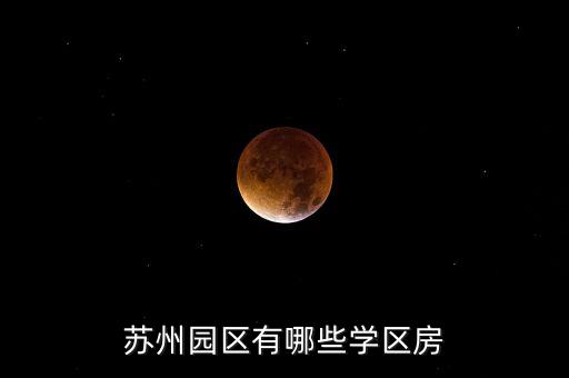 苏州园区有哪些学区房
