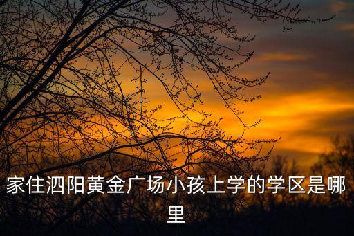家住泗阳黄金广场小孩上学的学区是哪里