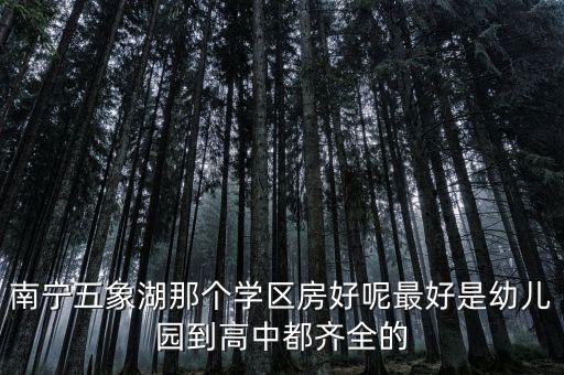 南宁双学区房哪个最好，想在南宁买套学区房有什么好的推荐吗