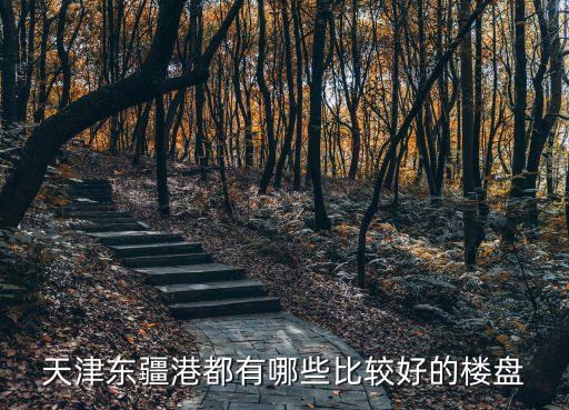 光谷东学区房楼盘有哪些，天津东疆港都有哪些比较好的楼盘