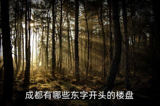 成都有哪些东字开头的楼盘