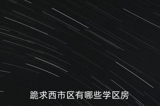 西安兴盛小区学区房有哪些，都有哪些楼盘是学区房啊