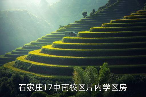 石家庄17中南校区片内学区房