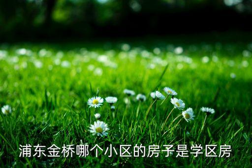 上海黄浦区有哪些学区房，浦江学区房有哪些
