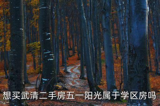 想买武清二手房五一阳光属于学区房吗