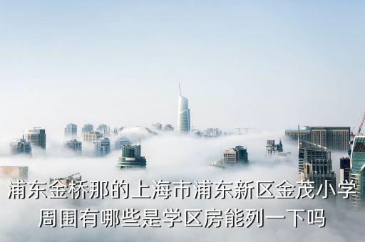 浦东金桥那的上海市浦东新区金茂小学周围有哪些是学区房能列一下吗