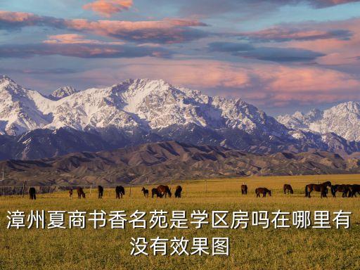 漳州市学区房有哪些，漳州市直的小学片区划分