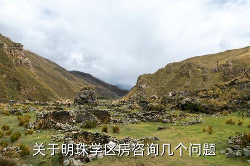 关于明珠学区房咨询几个问题
