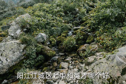 阳江初中学区房有哪些，阳江有什么中学注在江城区的附近的