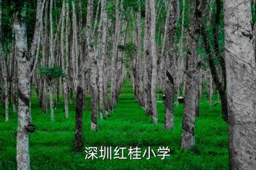 深圳红桂小学