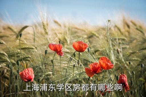 上海浦东学区房都有哪些啊
