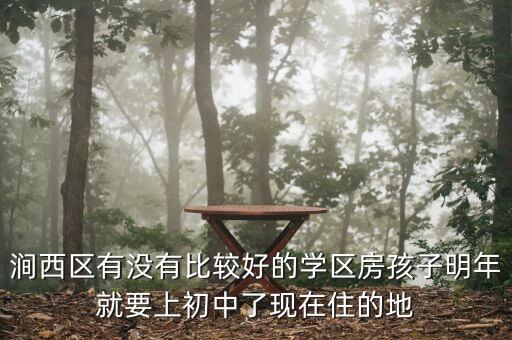 涧西区有没有比较好的学区房孩子明年就要上初中了现在住的地