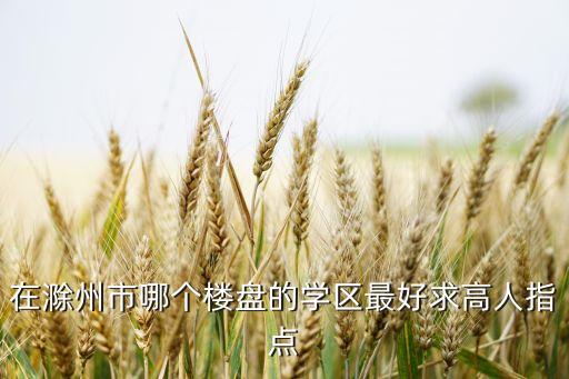 在滁州市哪个楼盘的学区最好求高人指点