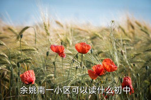 余姚南一小区可以读什么初中