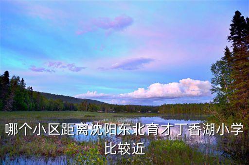 哪个小区距离沈阳东北育才丁香湖小学比较近