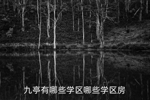 九亭有哪些学区哪些学区房
