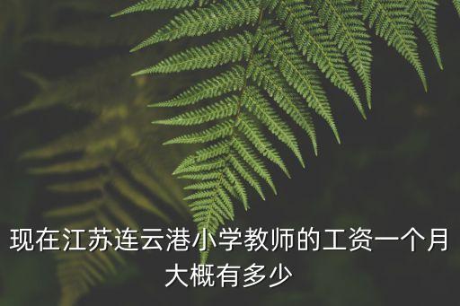 现在江苏连云港小学教师的工资一个月大概有多少