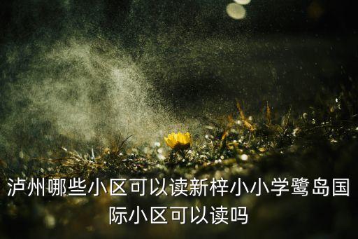 泸州哪些小区可以读新梓小小学鹭岛国际小区可以读吗