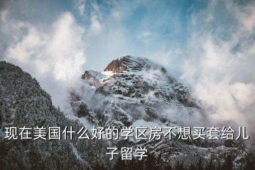 现在美国什么好的学区房不想买套给儿子留学