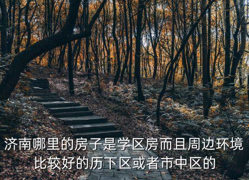 济南哪里的房子是学区房而且周边环境比较好的历下区或者市中区的