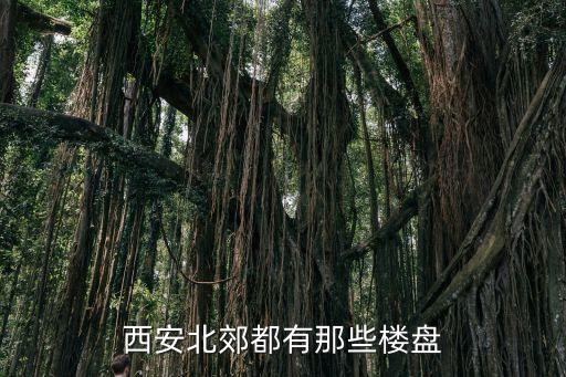 西安北郊都有那些楼盘