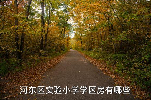 河东区实验小学学区房有哪些