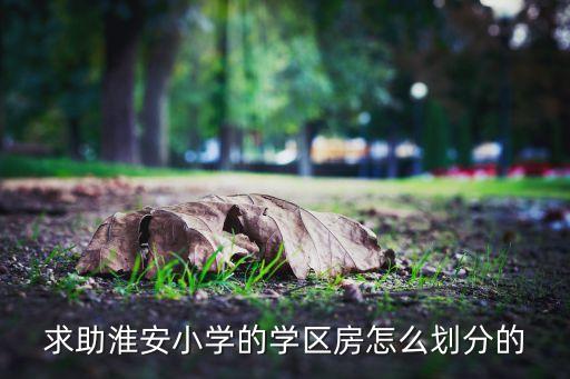 淮安附小的学区房有哪些，求助淮安小学的学区房怎么划分的