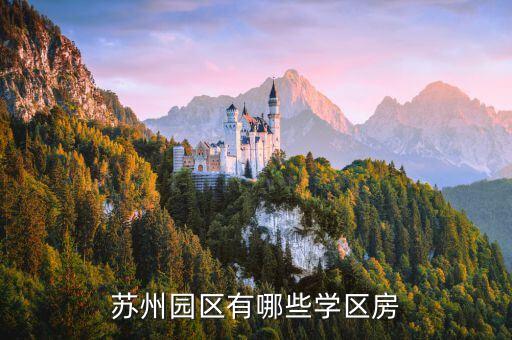 苏州园区有哪些学区房
