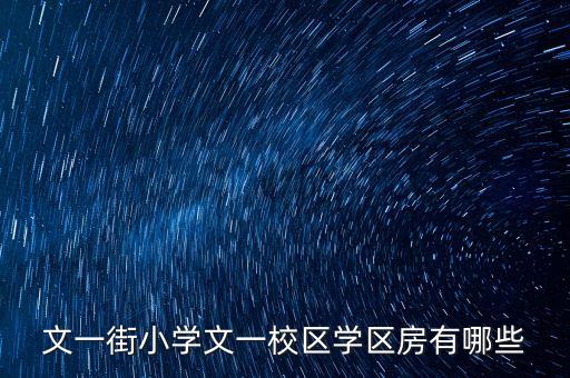 文一街小学文一校区学区房有哪些