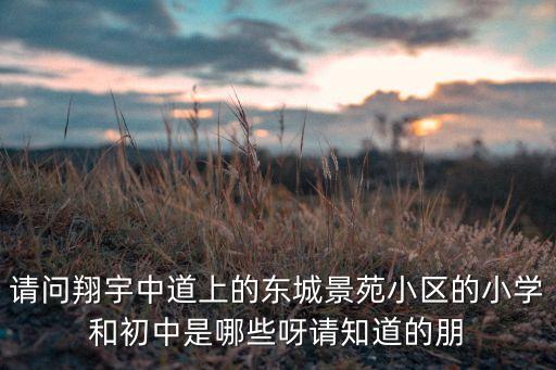 请问翔宇中道上的东城景苑小区的小学和初中是哪些呀请知道的朋