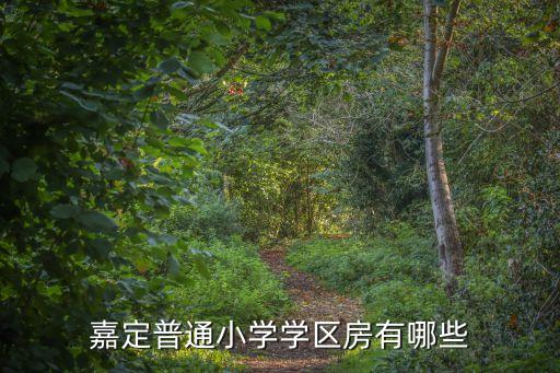 华兴小学的学区房都有哪些，上海嘉定普通小学的学区房有哪些